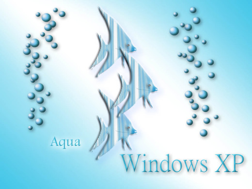 384291 (a): :1024x768